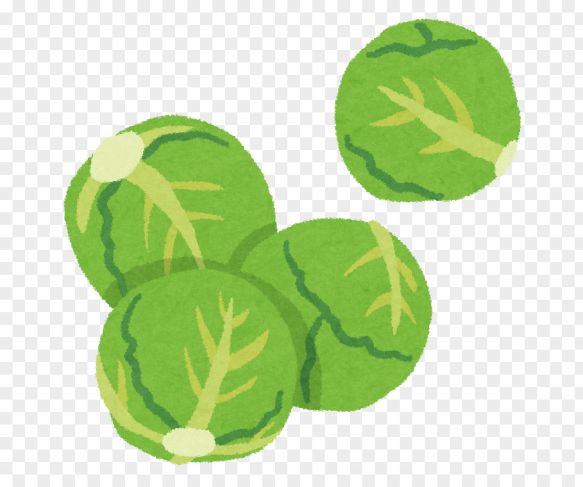 Veggi Fruit Brussels Sprout Cabbage Food プチヴェール PNG