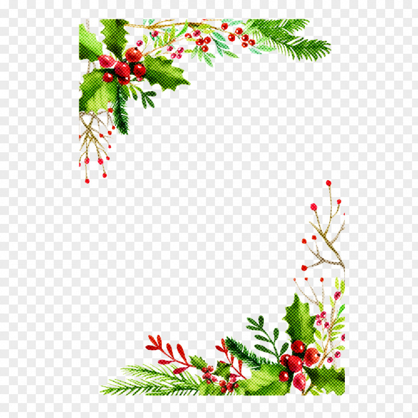 Fir Greeting Holly PNG