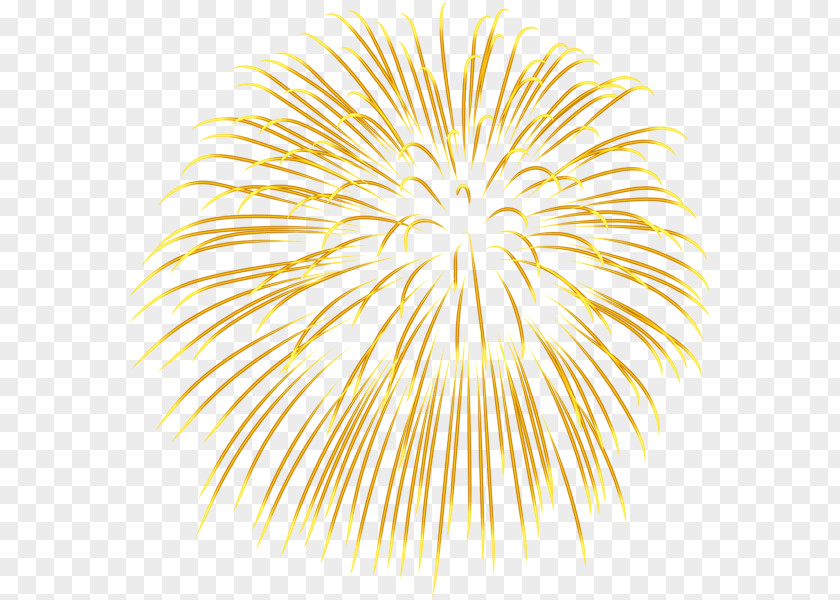 Fireworks Clip Art PNG