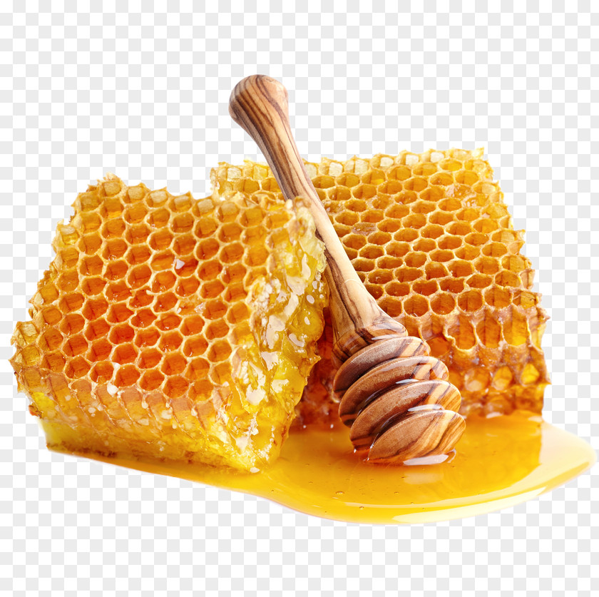 Honey Bee Food Sweetness PNG