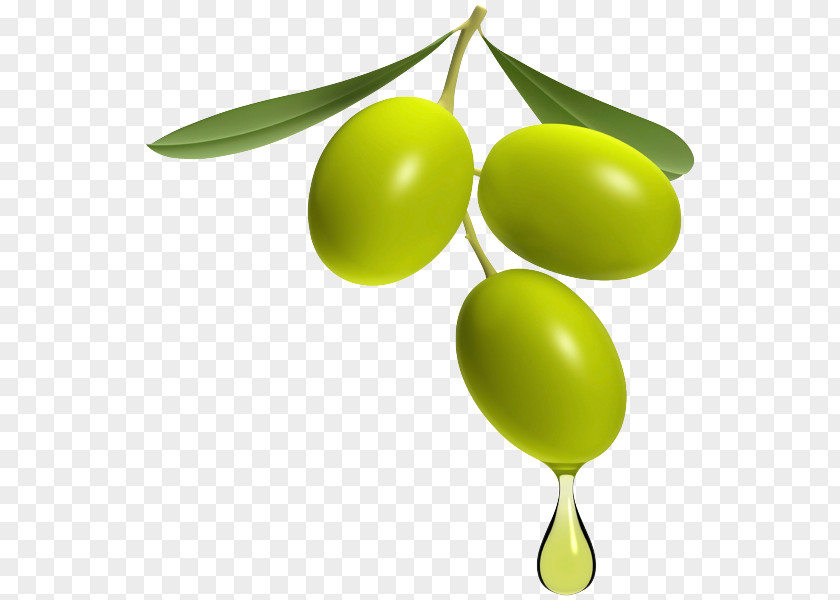 Olive Oil Greek Cuisine Tapenade PNG