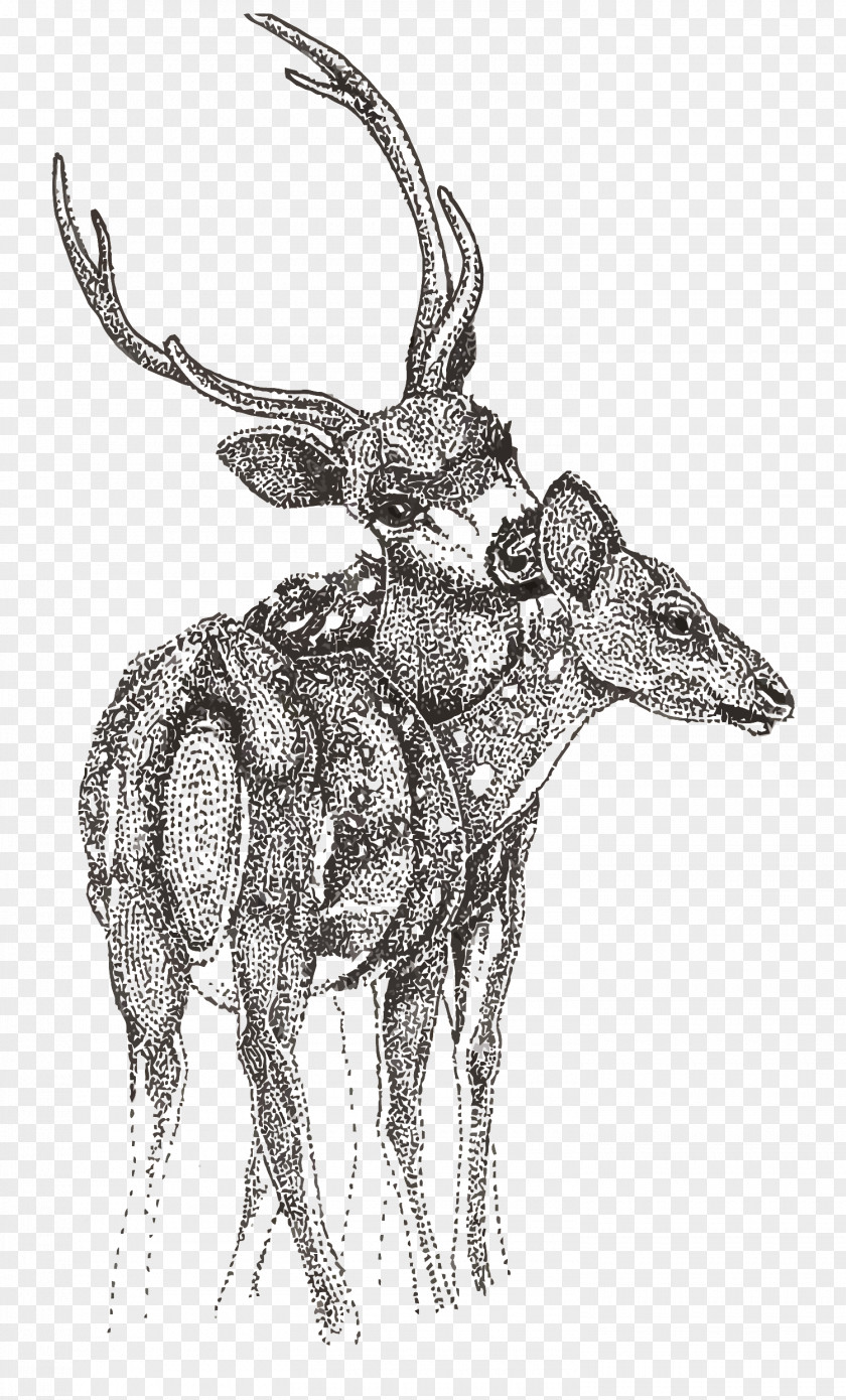 Vector Dotted Deer Reindeer Sketch PNG