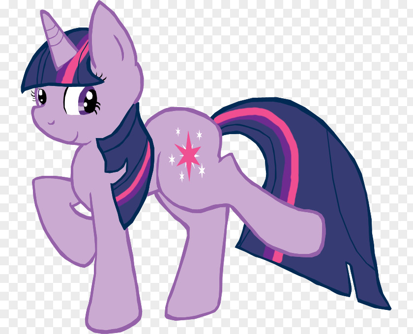 Cat Pony Horse Twilight Sparkle PNG