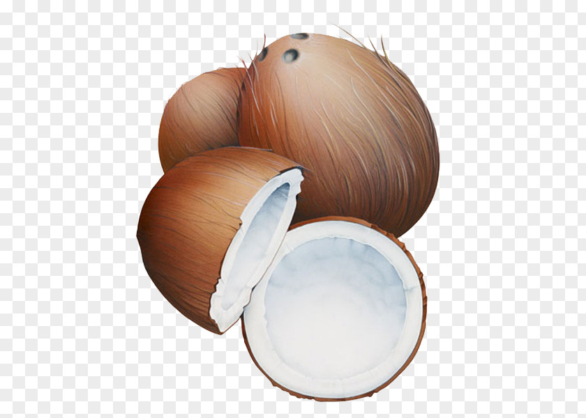 Coconut Milk Cartoon PNG