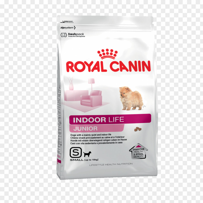 Dog Puppy Cat Food Kitten PNG