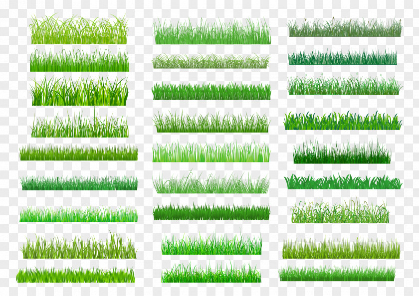Grasses Style Lawn Green Royalty-free Clip Art PNG