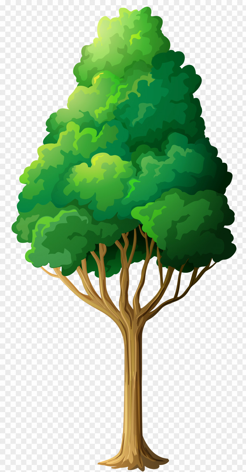Green Tree Clipart Clip Art PNG