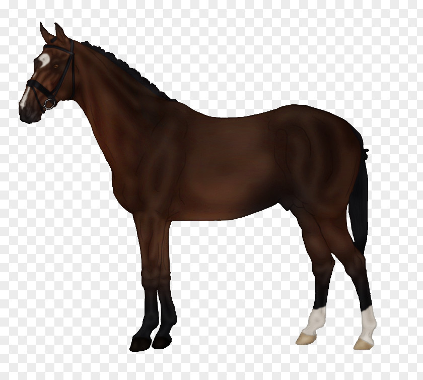 Horse The Sims 3: Pets Markings Saddle Tack PNG