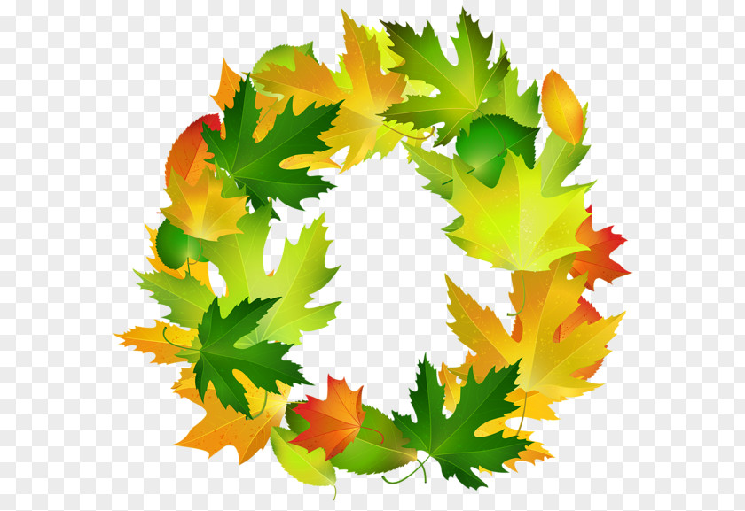 Leaves Border Maple Leaf Borders And Frames Picture Autumn PNG