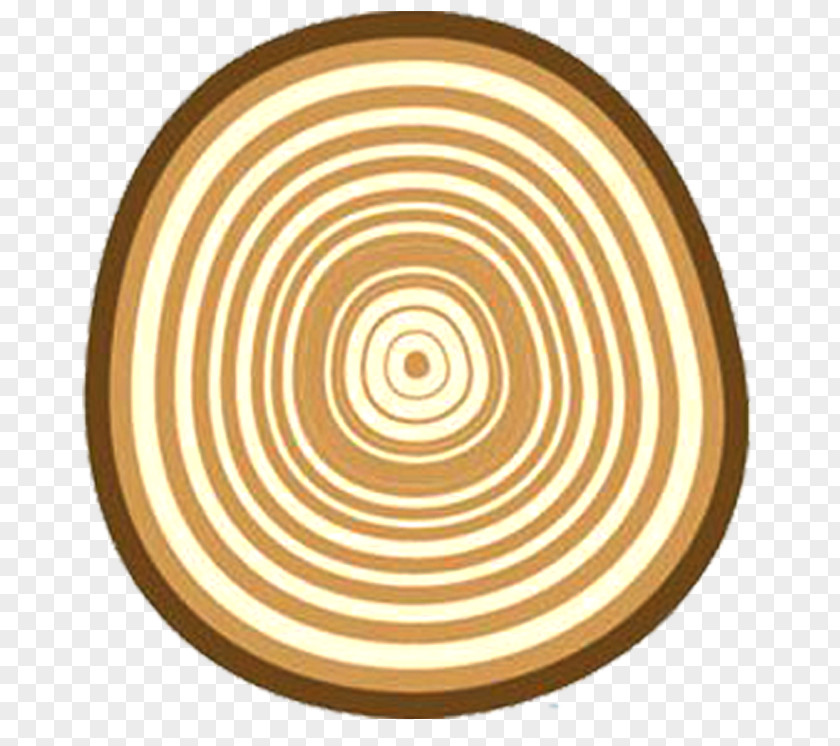 Tree Ring Pattern Coffee Petaling Jaya South Africa Health Baskin-Robbins PNG