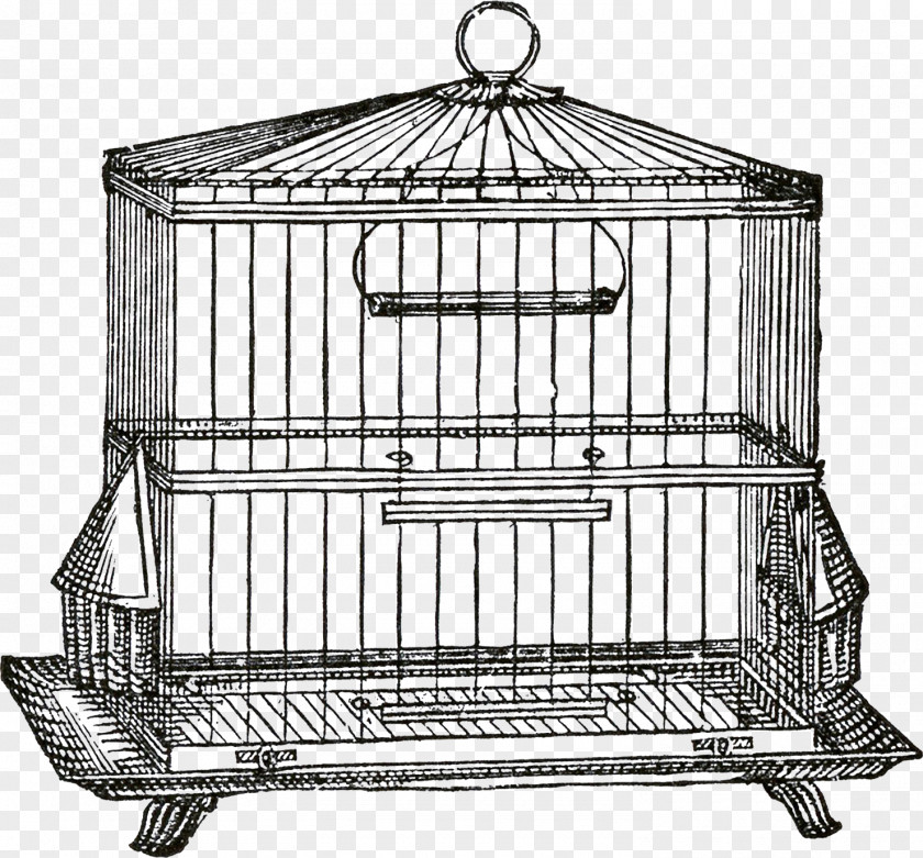 Bird Cage Birdcage Domestic Canary Clip Art PNG