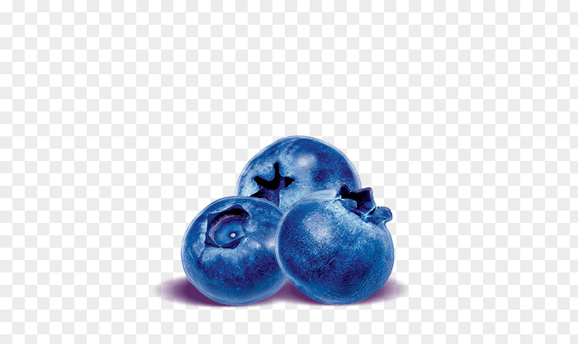 Blueberries Blueberry Bilberry Superfood PNG