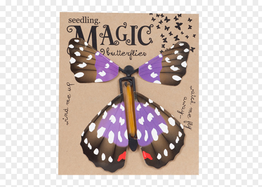 Butterfly Monarch Purple Brush-footed Butterflies Color PNG