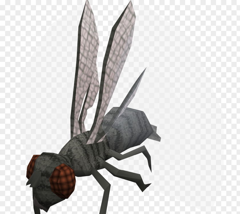Fly RuneScape Insect Combat Melee Ranged Weapon PNG