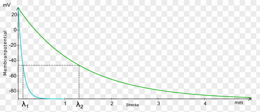 Length Circle Triangle Point Area PNG