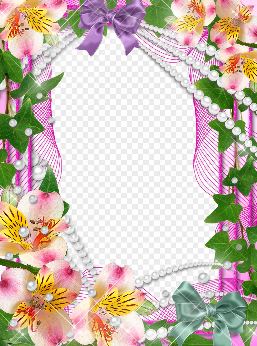 Mood Frame Pictures Picture Photography Orchids PNG