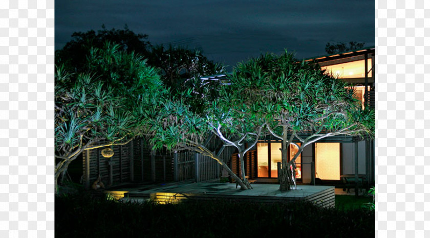 Tree Landscape Lighting Landscaping Backyard Architecture PNG