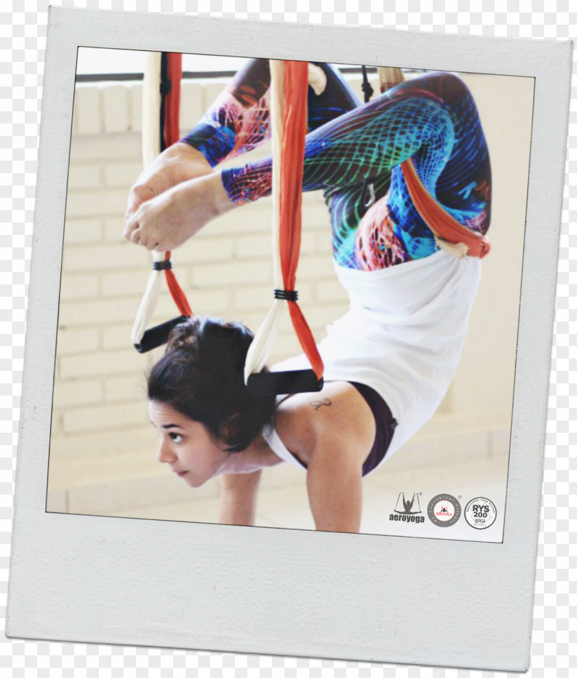 Antigravity Yoga Anti-gravity Physical Fitness Pilates Vocational Education PNG