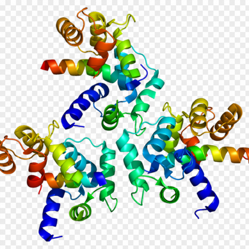 Gated Icon L-type Calcium Channel Voltage-gated Cav1.2 Ion PNG