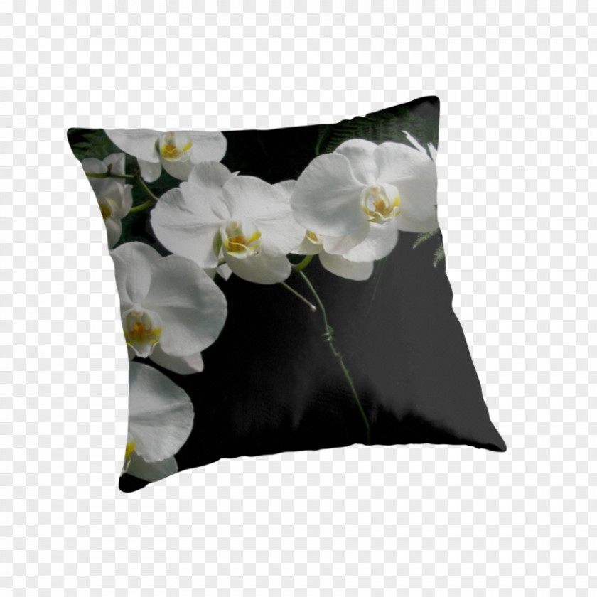 Moth Orchids Throw Pillows Cushion Petal PNG