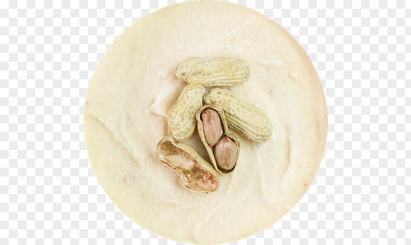 Peanut Cremeria Di Dee Gelato Shop Sorbet Ice Cream Nut PNG