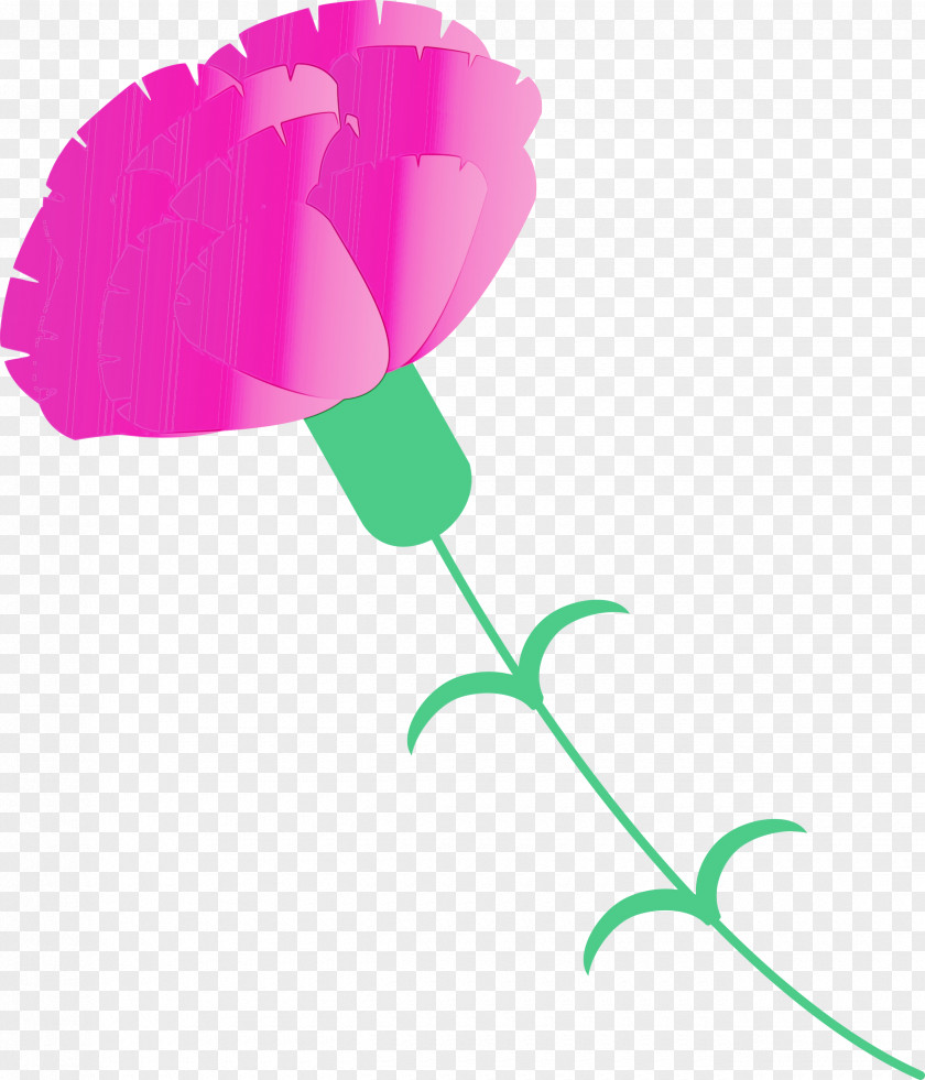 Pink Leaf Plant Flower Stem PNG