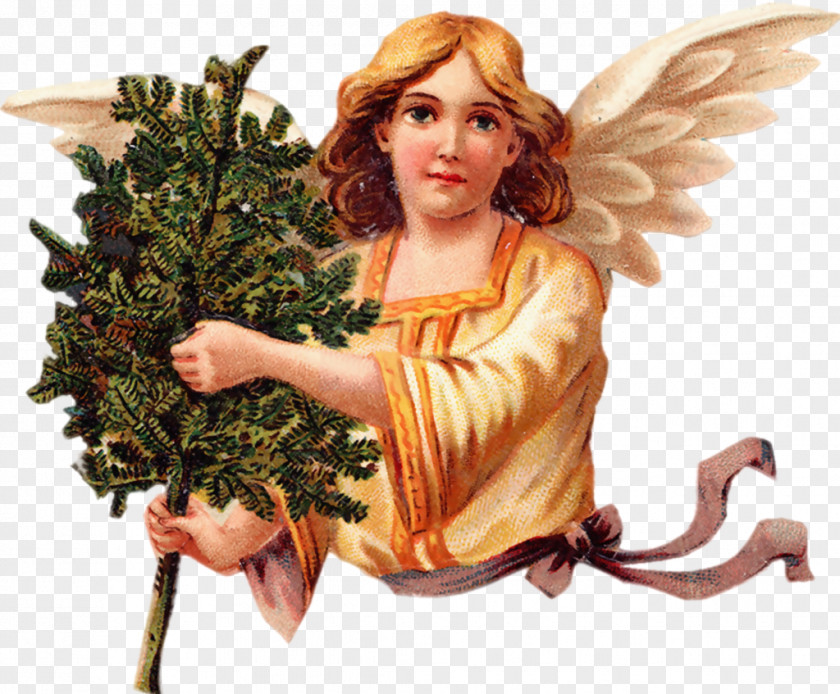 Tooth Fairy Angel Christmas Clip Art PNG