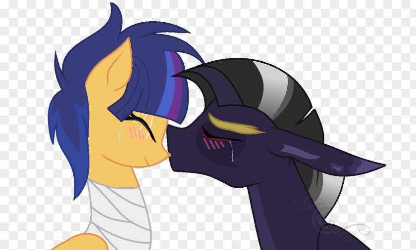 Youtube Pony Twilight Sparkle Flash Sentry YouTube Nova PNG