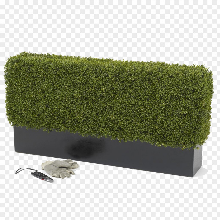 Box Hedge Shrub Topiary Artificial Flower PNG