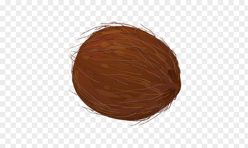 Coconut Cartoon Chocolate PNG