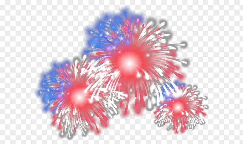 Fireworks Petal PNG