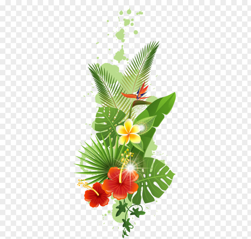 Flower TROPICAL Tropics Tropical Rainforest Clip Art PNG