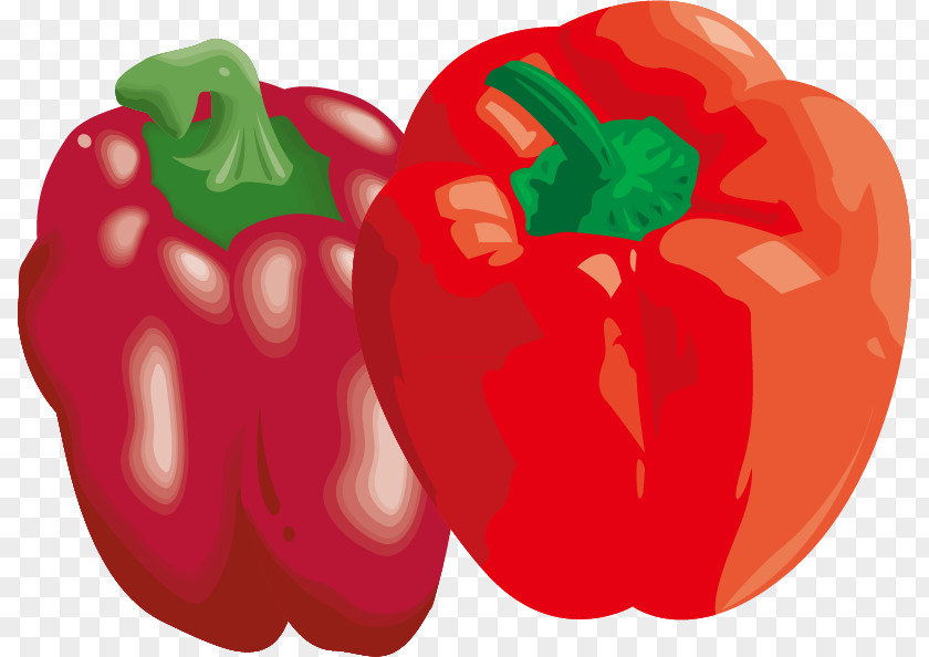 Pepper Vector Material Bell Chili Vegetable PNG