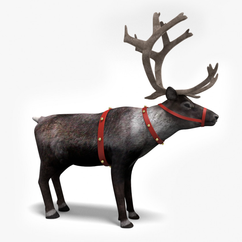 Reindeer Santa Claus's Clip Art PNG