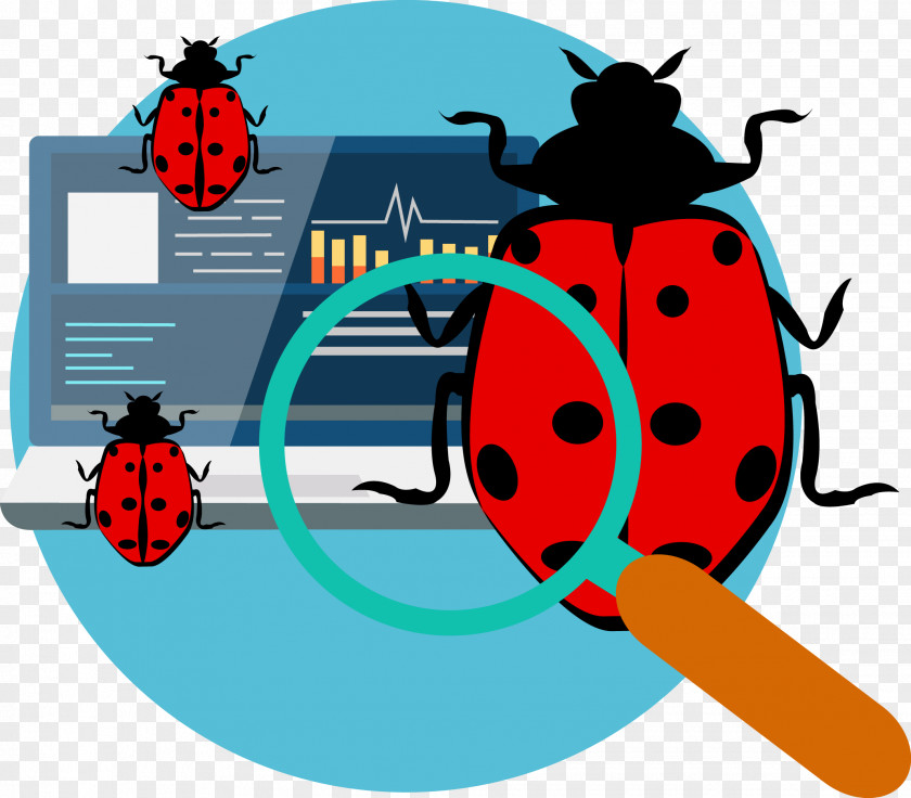 Search Bug Vector Illustration Ladybird Software Computer Program Icon PNG