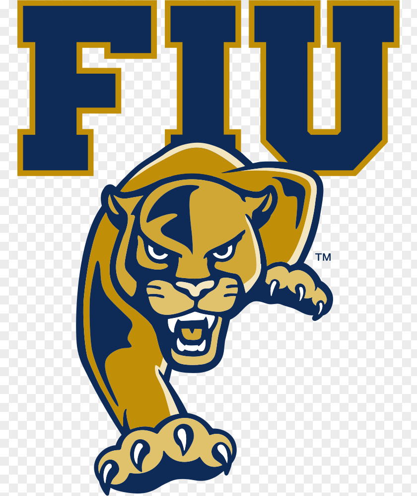 Wall Sticker Fiu Panthers American Football Background PNG