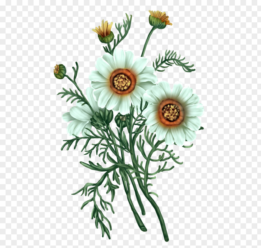 Flower Blog Tutorial Floral Design PNG