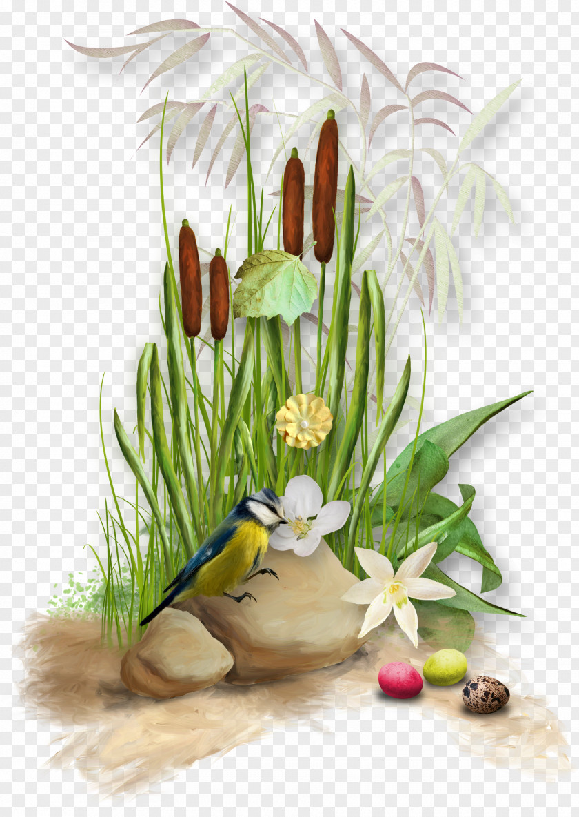 Plants Easter Graphic Design Clip Art PNG