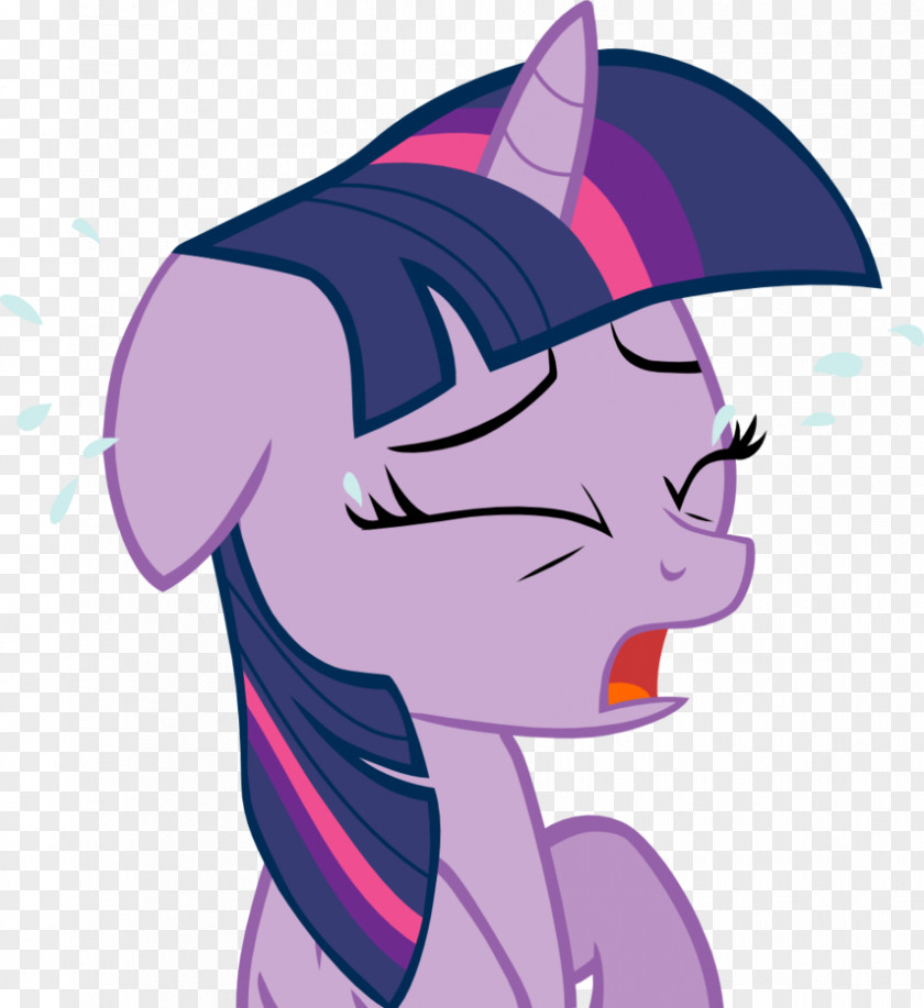 Tears Twilight Sparkle Pinkie Pie Rarity Applejack Rainbow Dash PNG