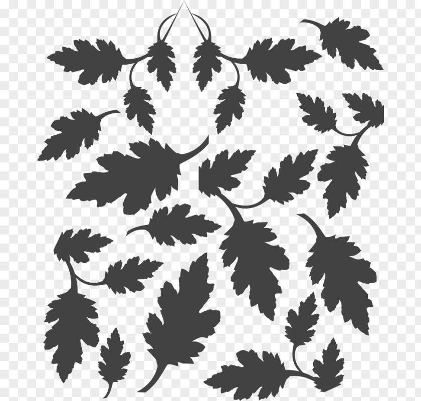 CAMOFLAGE Black Silhouette Flowering Plant Leaf PNG