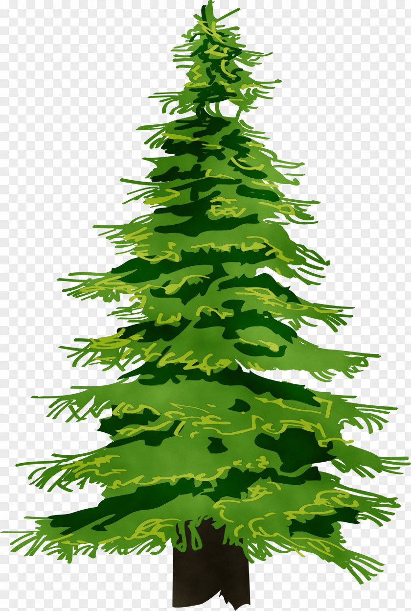 Christmas Tree PNG