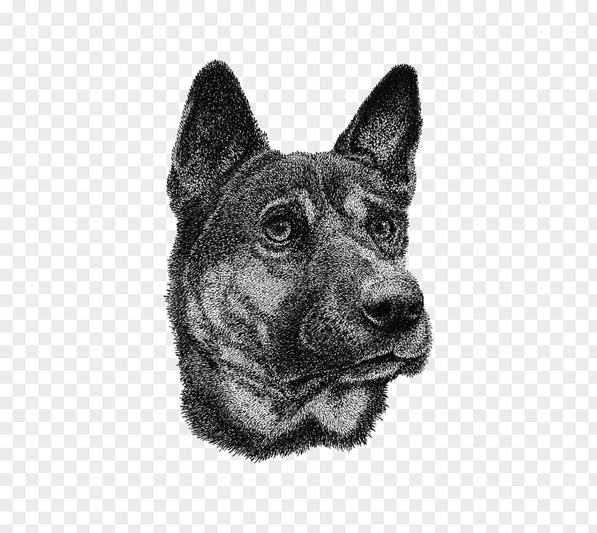 Hand-drawn Illustration Dog Norwegian Elkhound Australian Cattle Rare Breed (dog) Drawing PNG