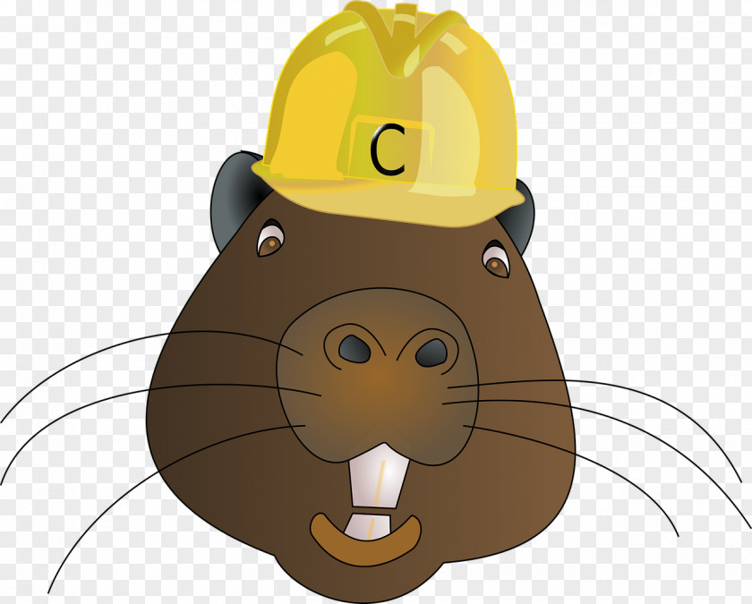 Helmet Hamster Beaver Hard Hat Clip Art PNG
