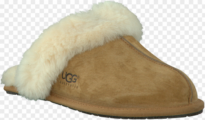Slippers Slipper Ugg Boots Shoe Shop PNG