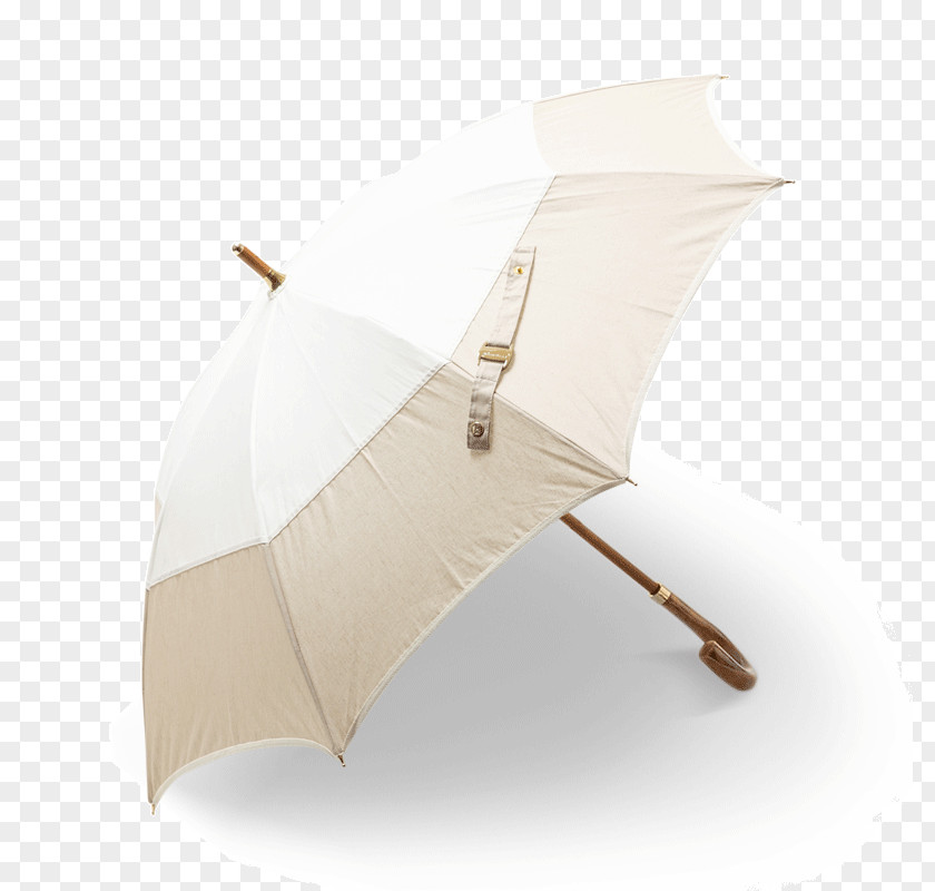 Umbrella Angle PNG