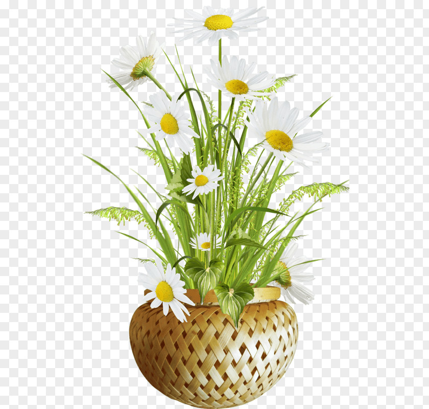 April Flower Daisy Clip Art Image Flowerpot Vase PNG
