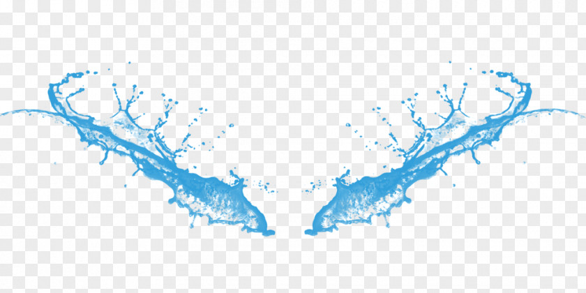 Creative Wings Water Creativity Graphic Design PNG