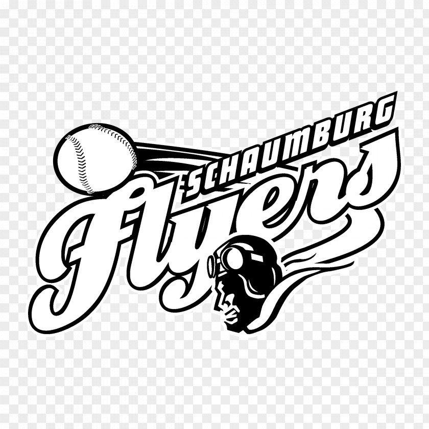 Design Schaumburg Flyers Logo PNG
