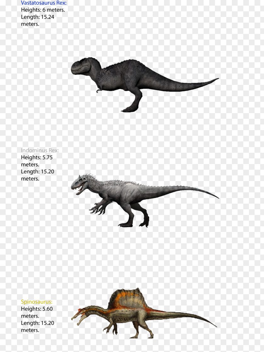 Dinosaur Tyrannosaurus Size Spinosaurus Giganotosaurus Carnotaurus PNG