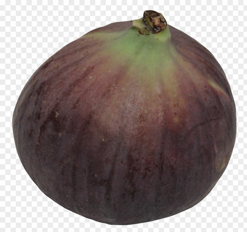 Fig Winter Squash Fruit Commodity Ingredient Cucurbita PNG